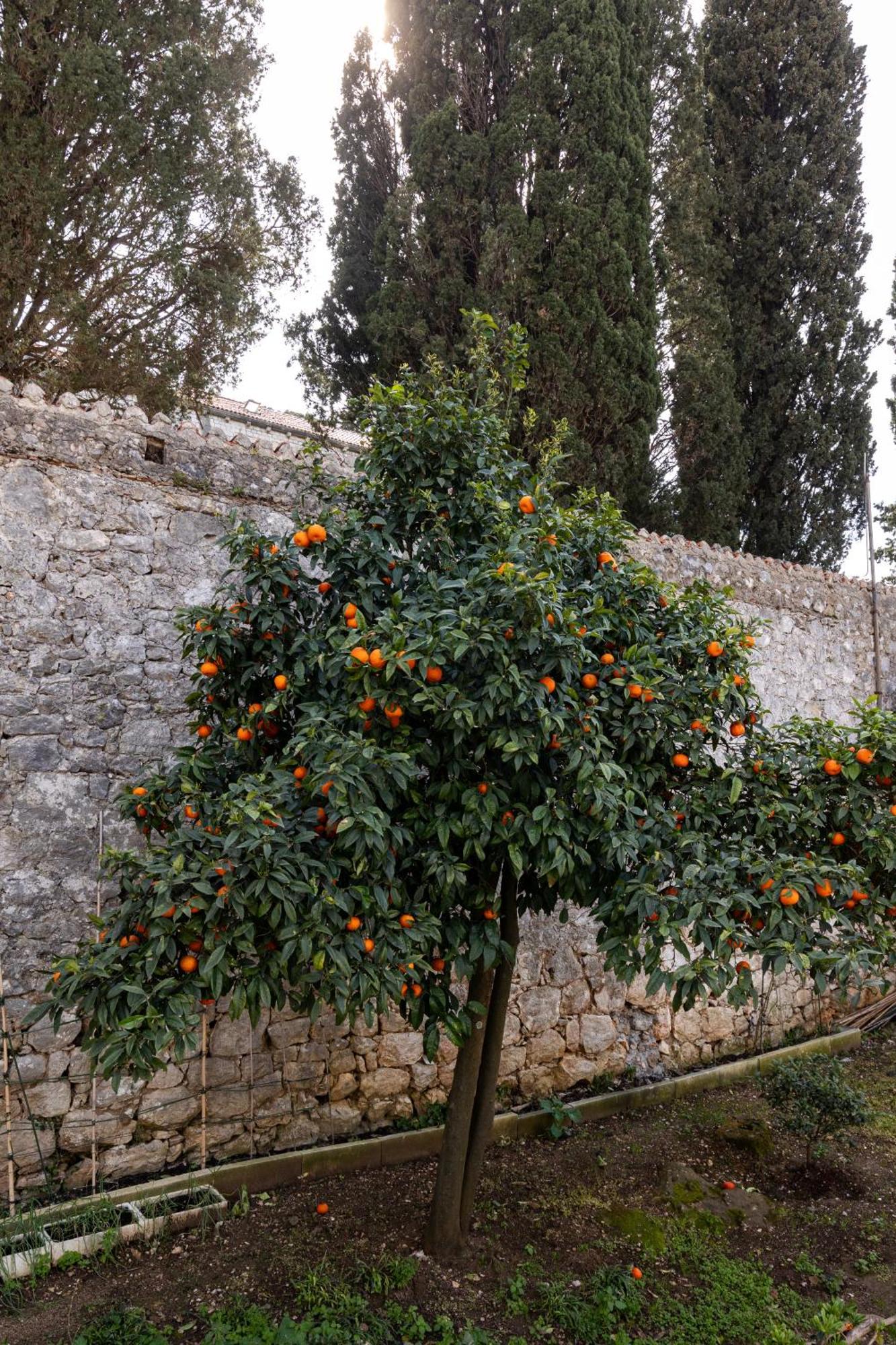 Luna Dubrovnik